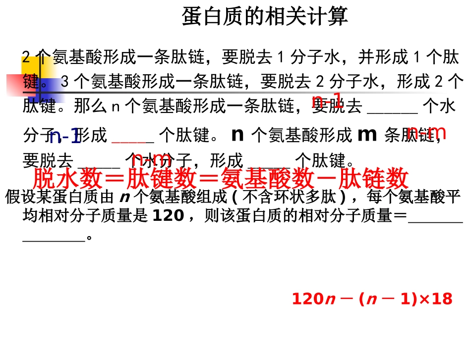 第五节遗传信息的携带者(27张PPT)_第3页