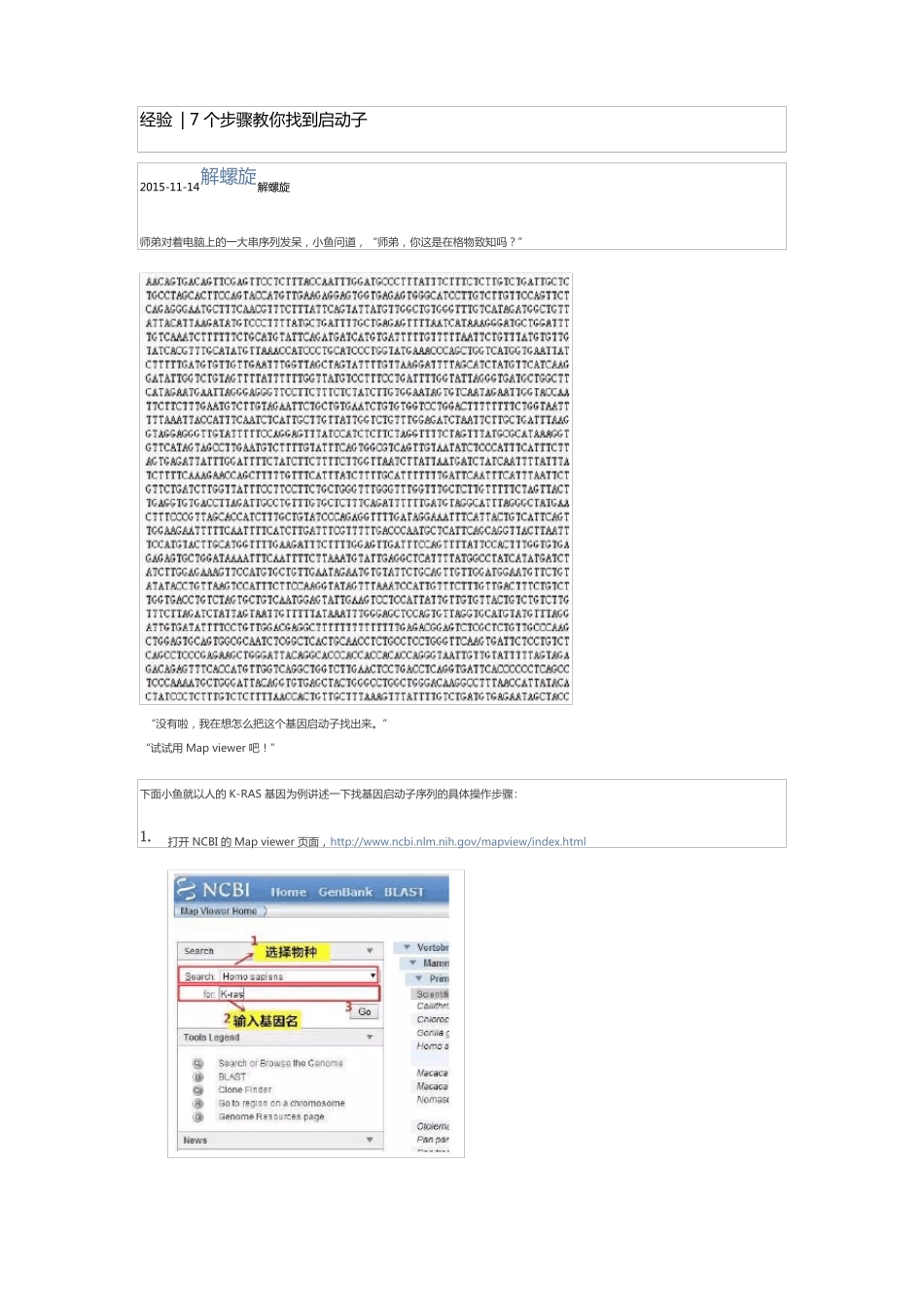 7个步骤教你找到启动子_第1页