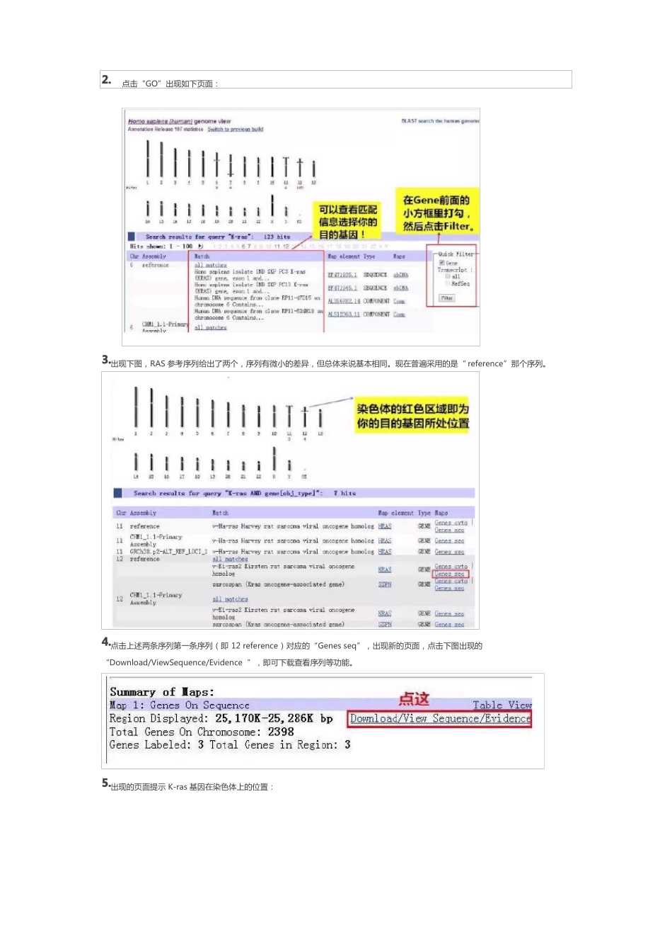 7个步骤教你找到启动子_第2页