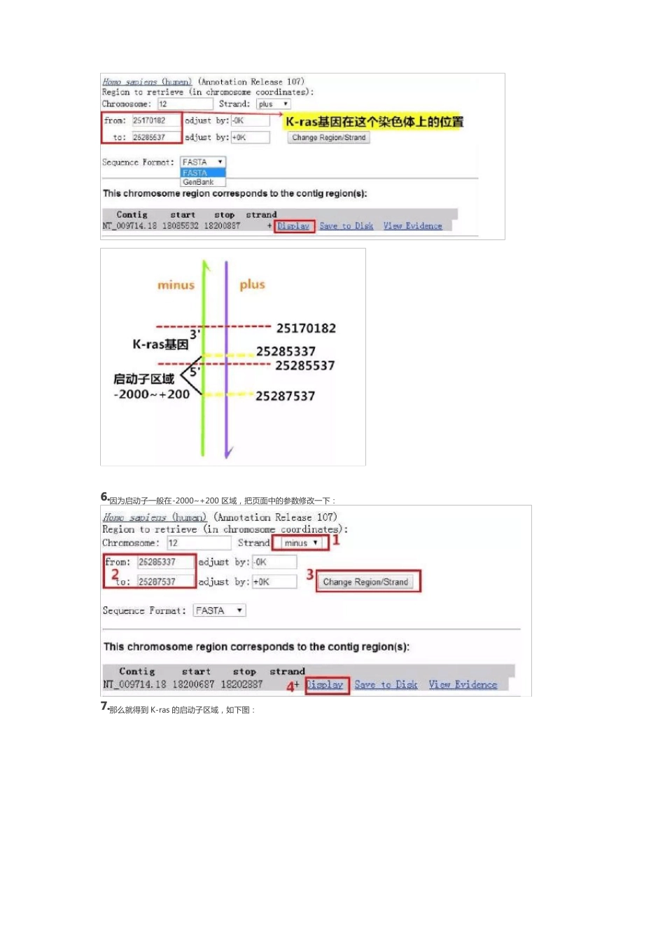 7个步骤教你找到启动子_第3页