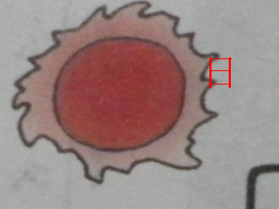 日月水火PPT_第3页
