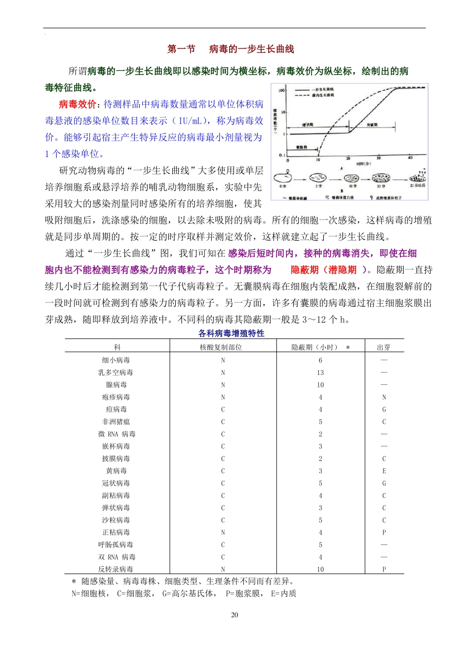 动物病毒学-病毒的增殖_第2页