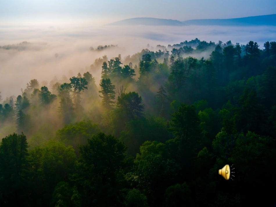 《美丽的小兴安岭》PPT_第2页