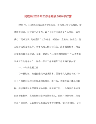 民政局年工作总结及年打算