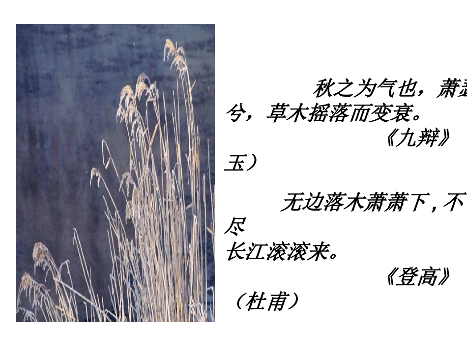 故都的秋 (3)_第2页