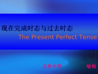 现在完成时态复习课件