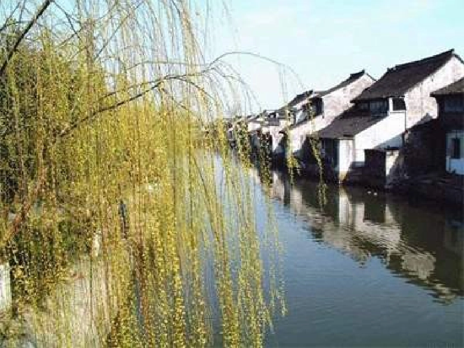 北师大第五册11《小镇的早晨》6_第3页