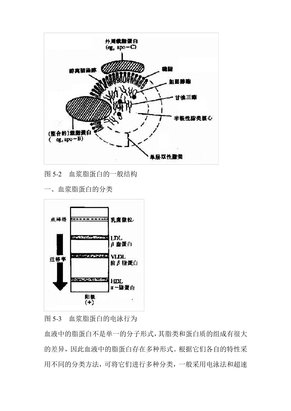 血脂及其代谢_第2页