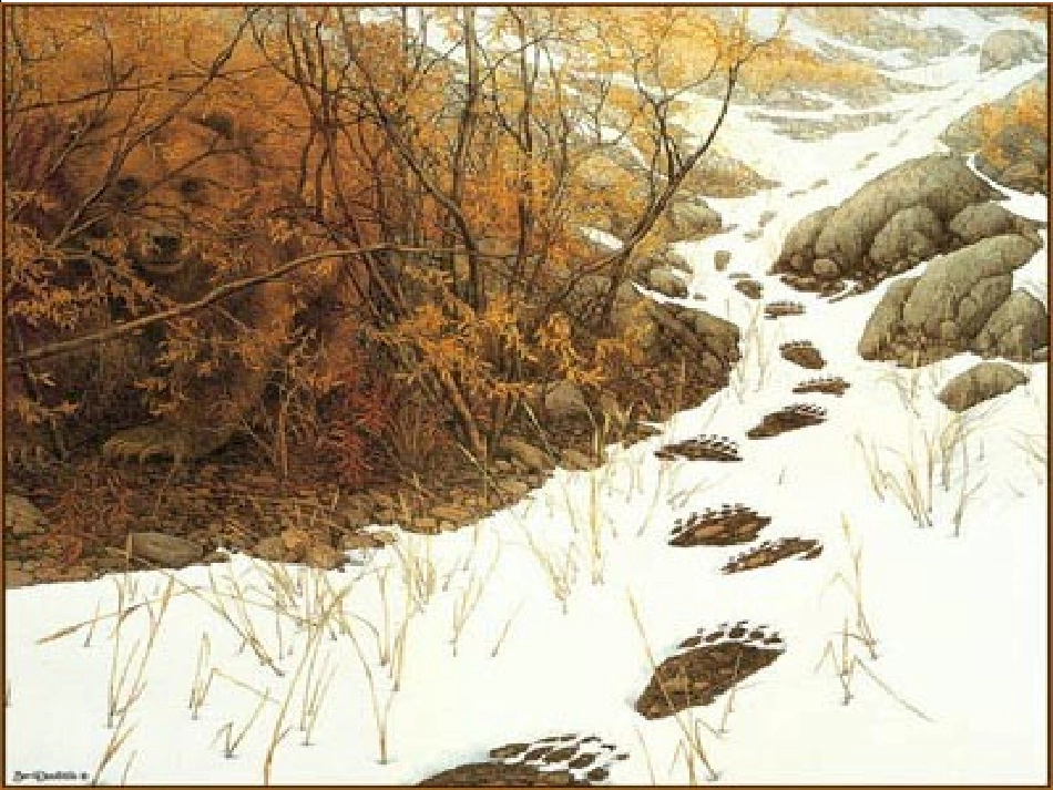 《事物的正确答案不止一个》课件_第3页