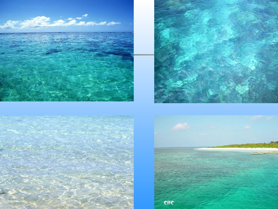 《富饶的西沙群岛》课件 (2)_第3页