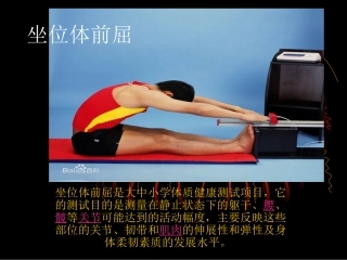中考体育坐位体前屈