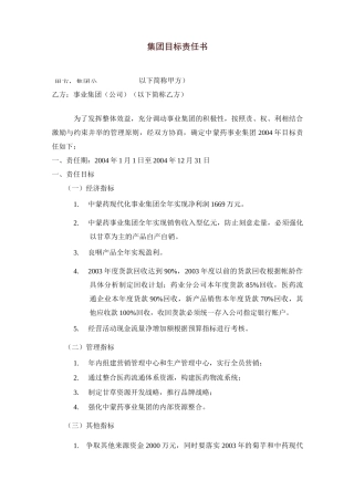 集团目标责任书