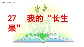 我的“长生果“ ()