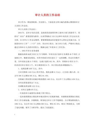 审计人员的工作总结
