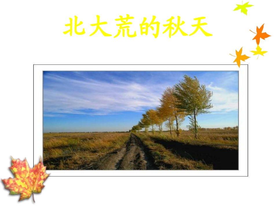北大荒的秋天第二课时_第1页