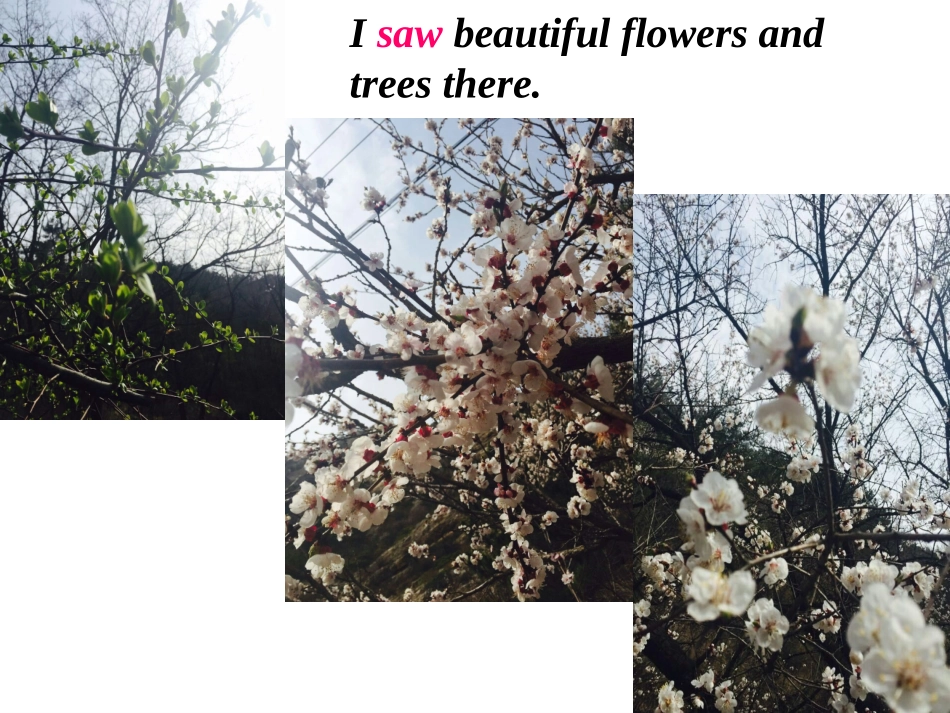 外研版（三起）五下英语：M9U1_第3页