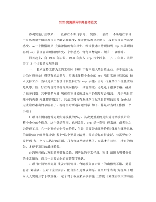 实施顾问年终总结范文