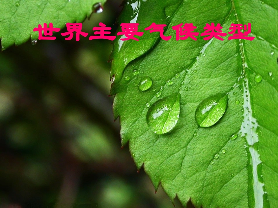 四章四节+世界主要气候类型第二课时课件_第1页