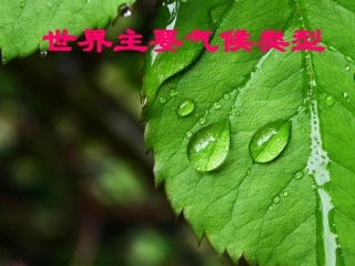 四章四节+世界主要气候类型第二课时课件