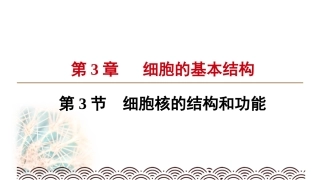 公开课细胞核