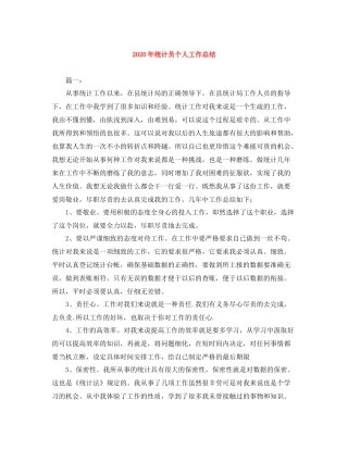 2020年统计员个人工作总结