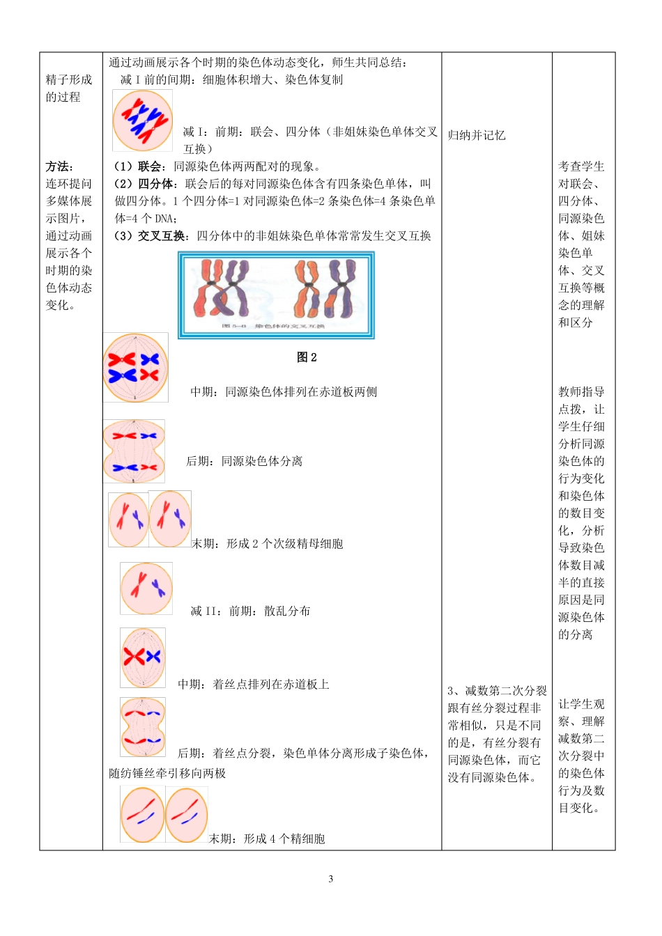 A7技术支持的总结提升减数分裂教学设计_第3页