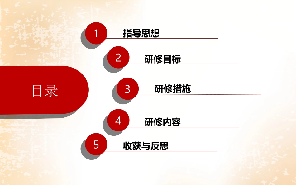 2016年镇江市丹阳练湖中心幼儿园远程培训项目规划方案_第3页