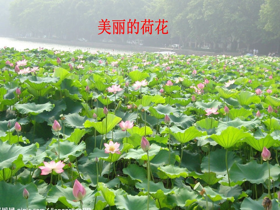 《夏天，我们注意什么》课件_第3页