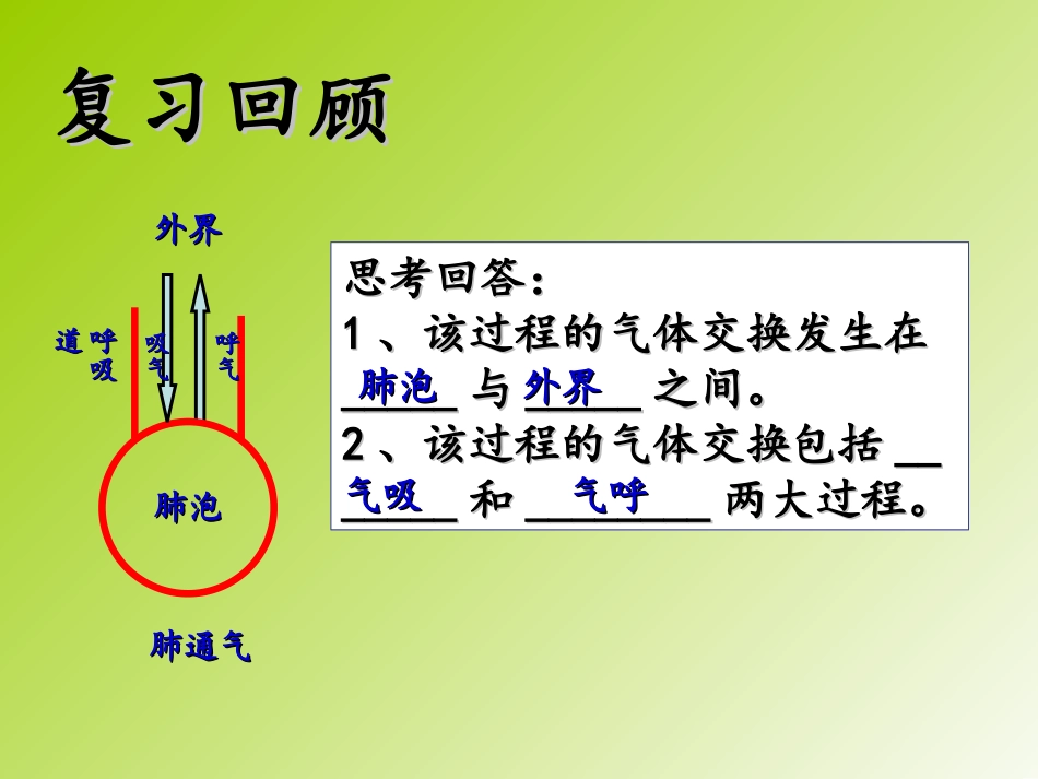 人体内的气体交换_第3页