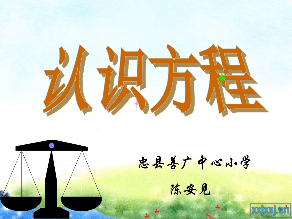 《认识方程》_第1页