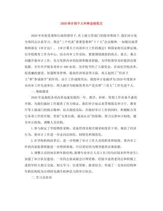 审计局个人年终总结范文