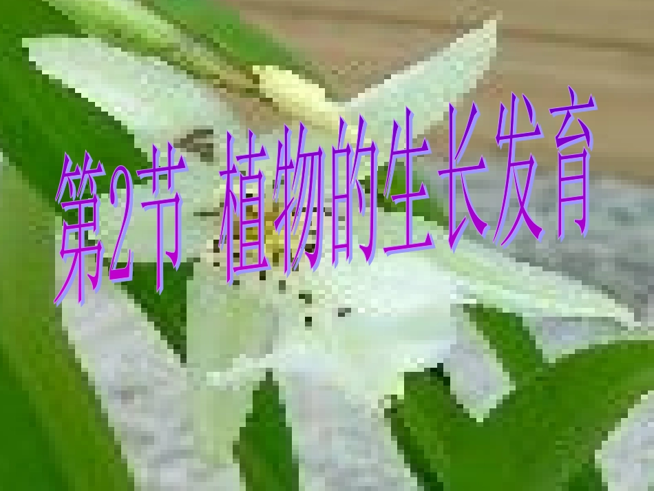 植物的生长发育（种子的结构）_第2页
