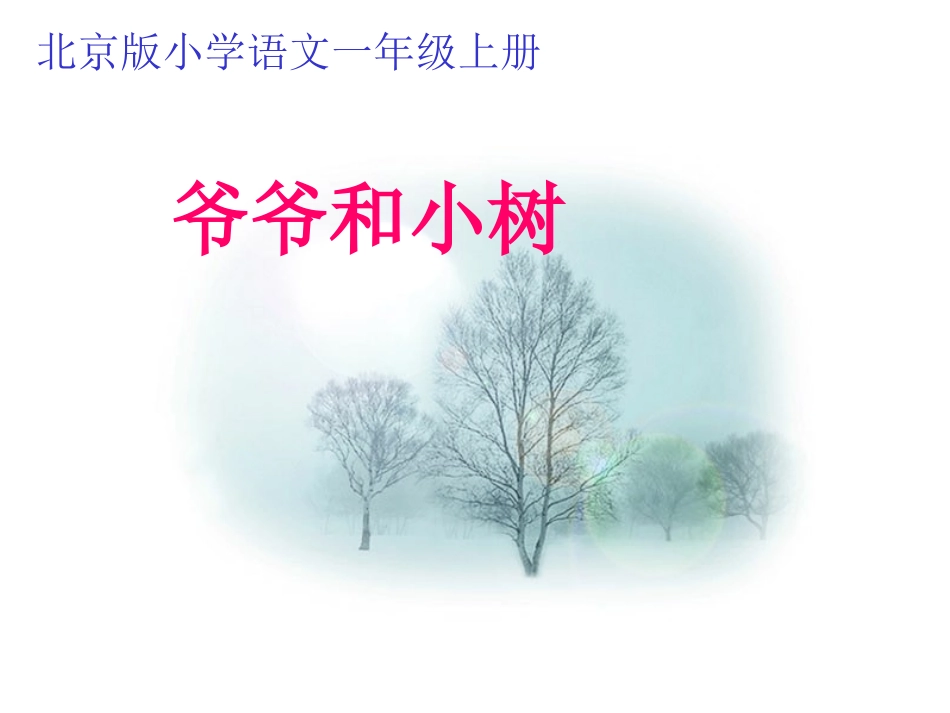 《小爷爷和小树》课件(北京版一年级语文上册课件)_-_副本_第1页