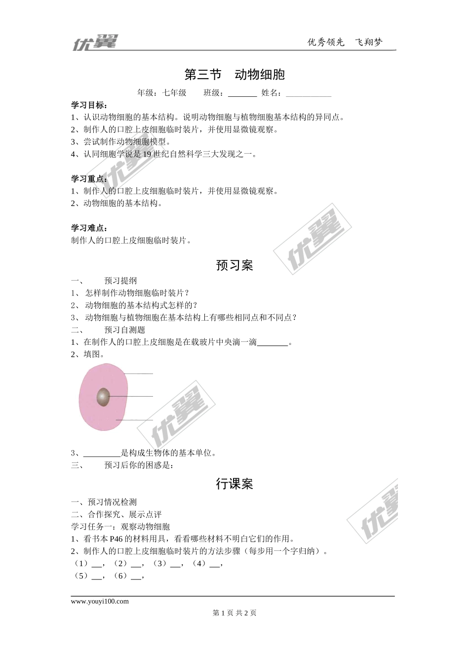 第三节动物细胞 (2)_第1页