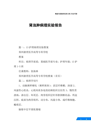 肾浊肿病理试验报告