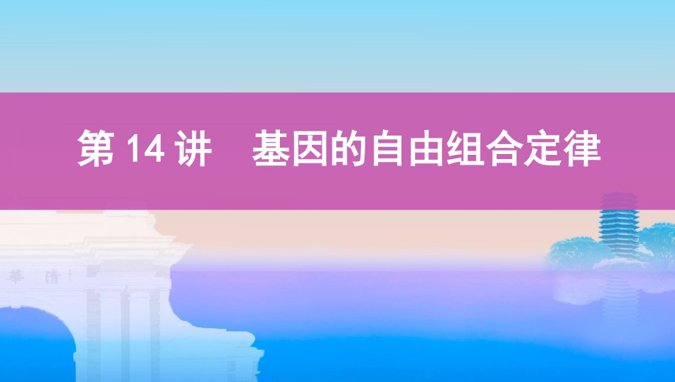 第14讲　基因的自由组合定律_第1页