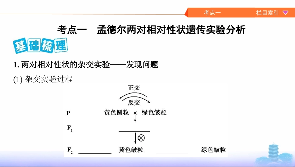 第14讲　基因的自由组合定律_第2页