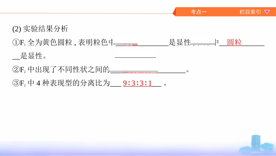 第14讲　基因的自由组合定律_第3页