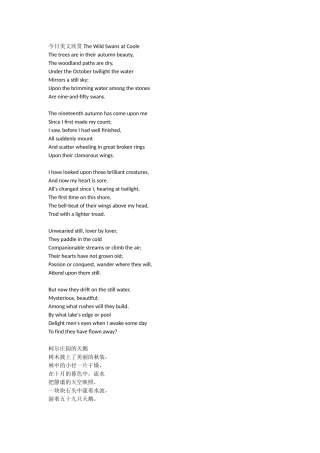 柯尔庄园的天鹅