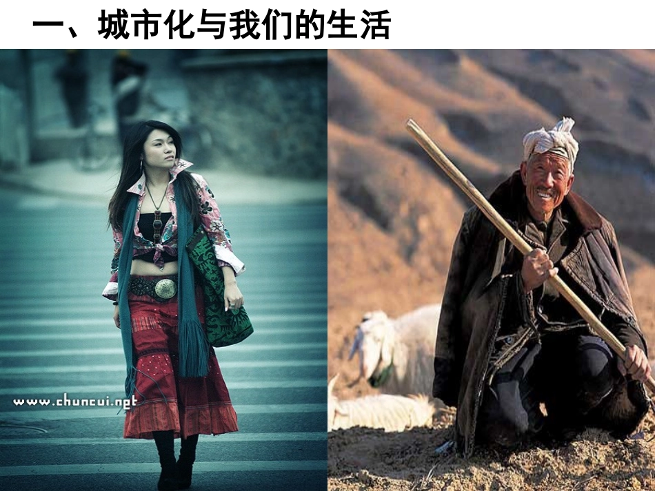 城市化过程对地理环境的影响_冯_第2页