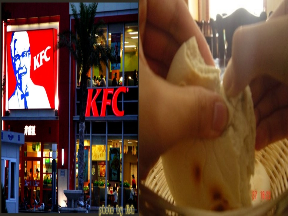 城市化过程对地理环境的影响_冯_第3页