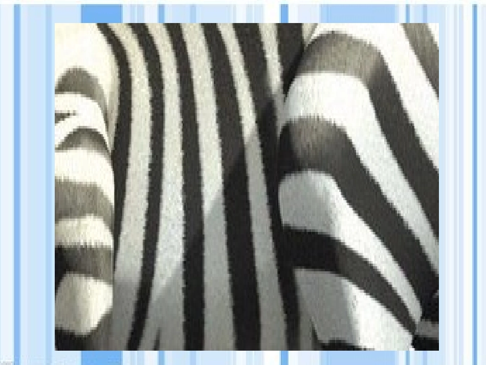 课件—《条纹乖乖》—美术—张月_第2页