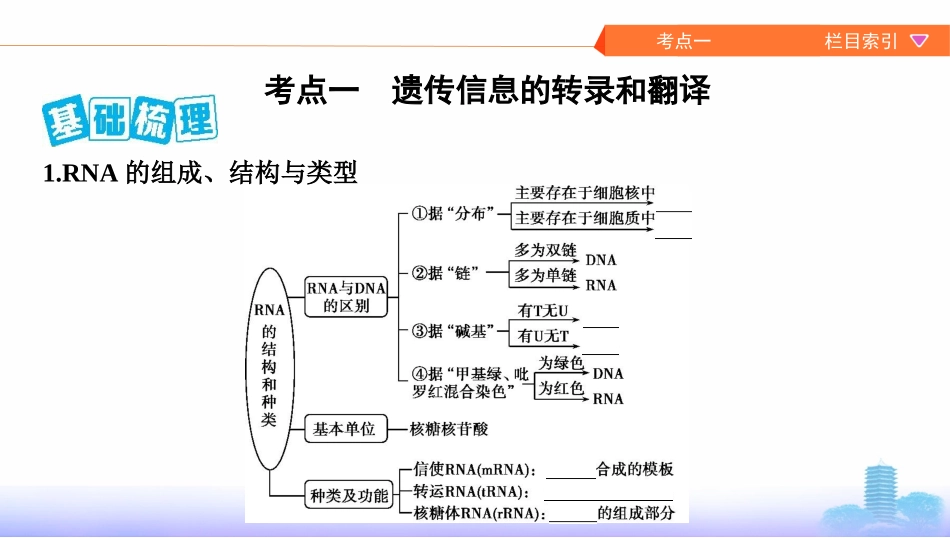 第18讲　基因的表达_第2页