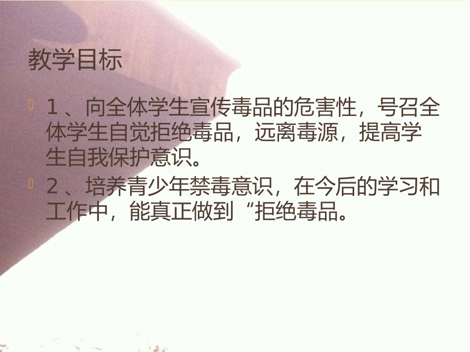 禁毒教育幻灯片_第2页