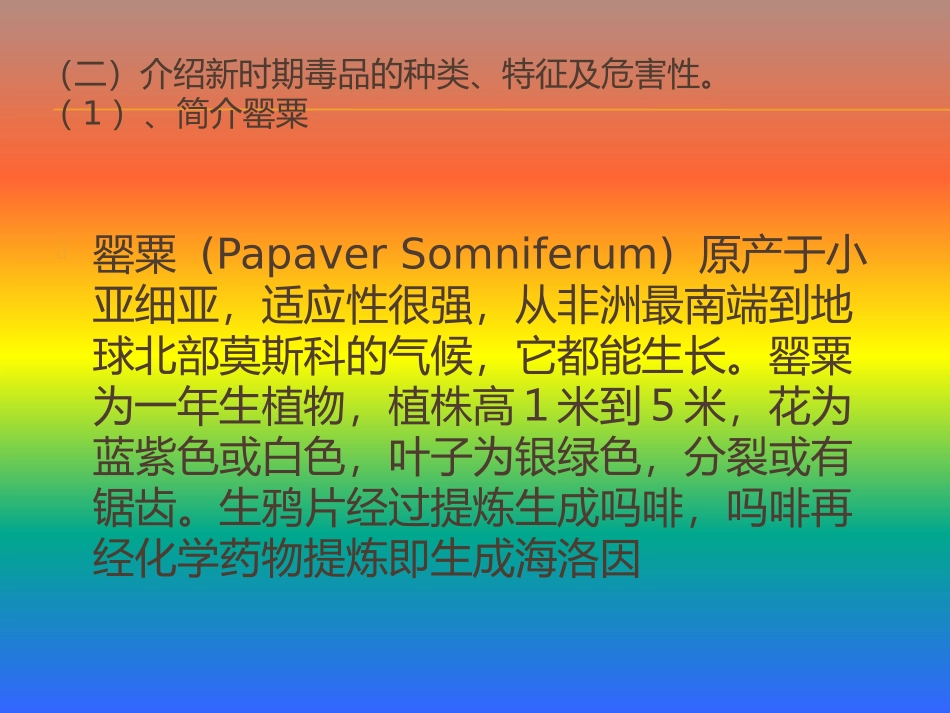 禁毒教育幻灯片_第3页