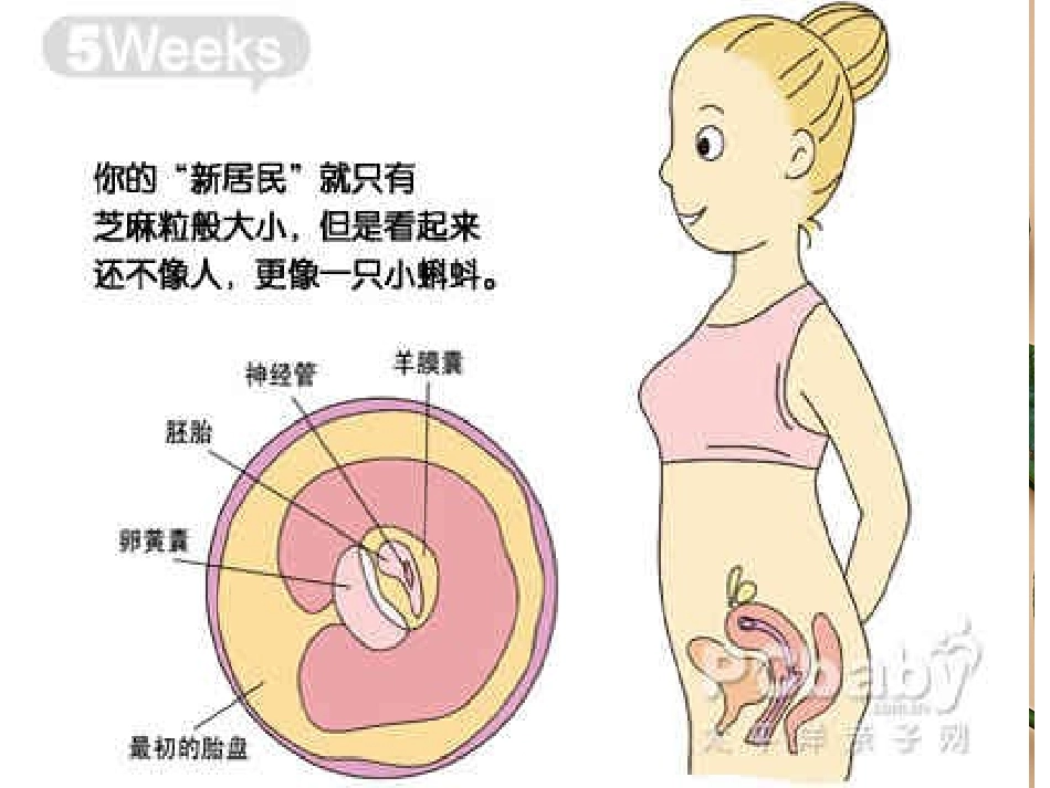 《父母多爱我》_第3页