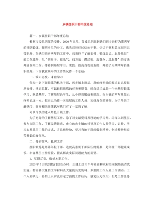 乡镇挂职干部年度总结