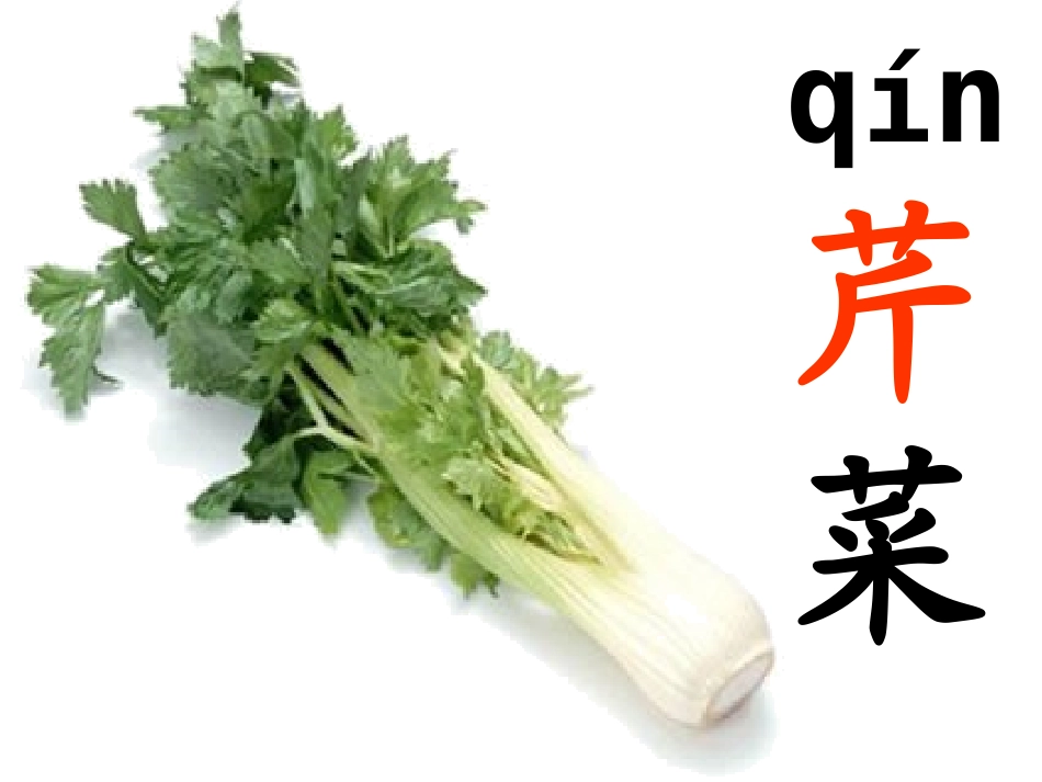 长春版小学语文三年级上册汉字家园2-1_第3页