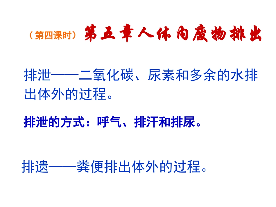 复习课件第四单元-第五章人体内废物的排出_第2页