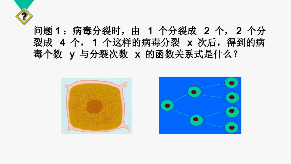 指数函数的概念10mins_第2页